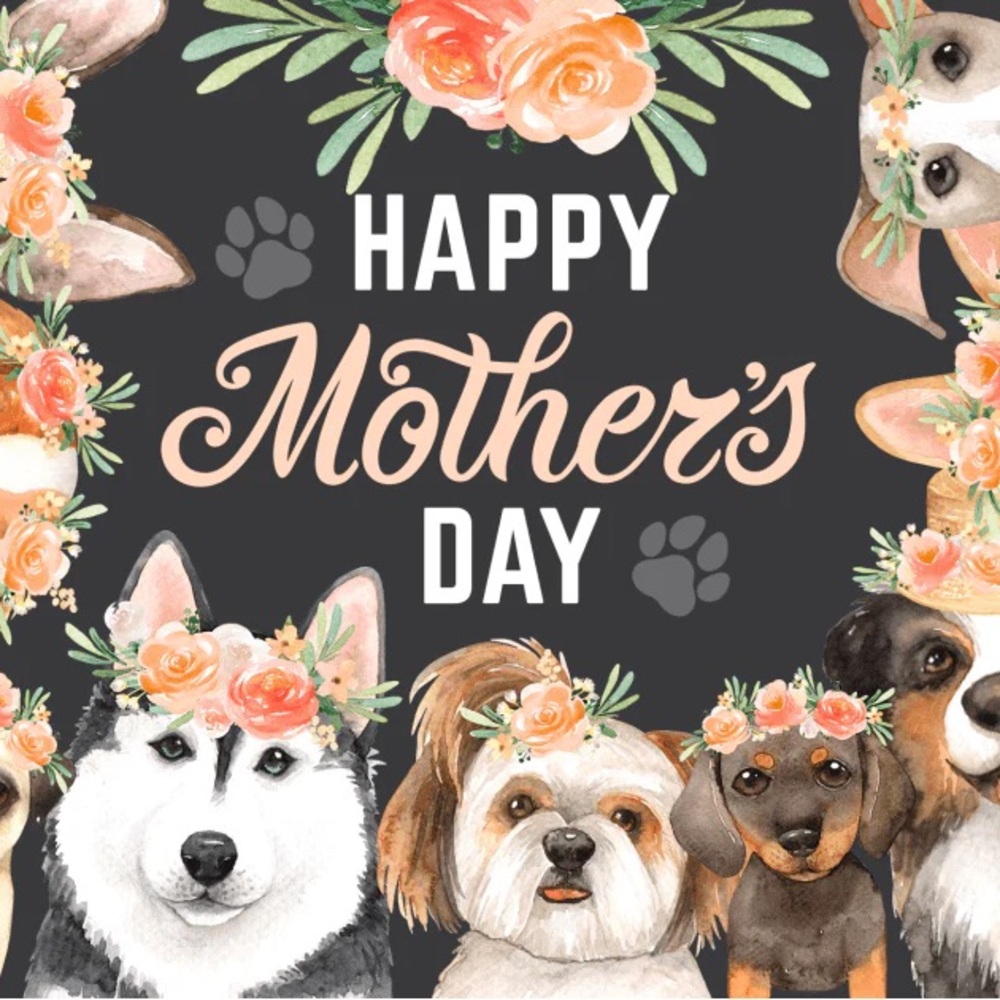 Brand New Micro Puzzles Happy Mothers Day Puzzle Tube 150 pieces Dog Corgi Pug